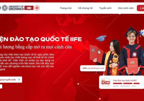 Thiết kế website công ty cao cấp