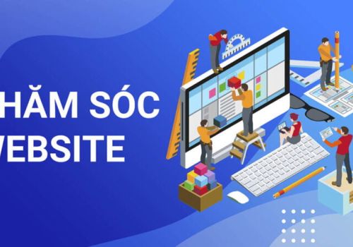 Sau khi hoàn thiện website, cần làm gì để website phát huy hiệu quả tối đa ?