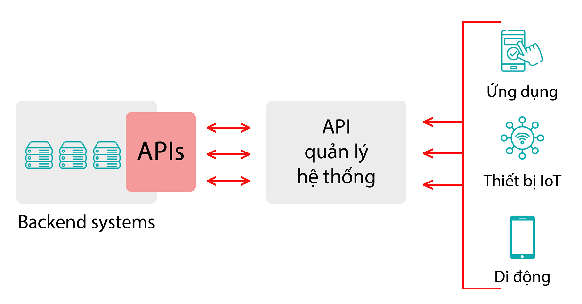 api-hoat-dong